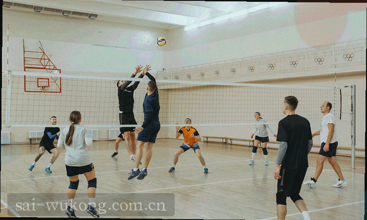 桌面端空向控球率对照表按季度归档的数据图示